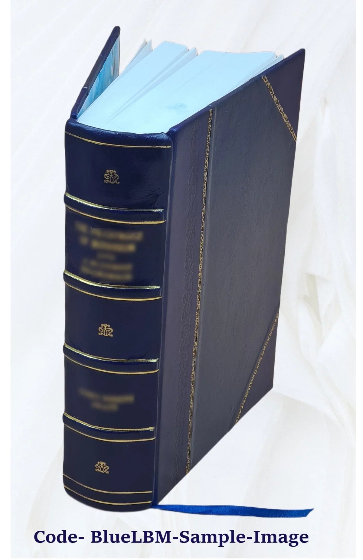 The Covenanters, a history of the church in Sizecotland from the Reformation to the Revolution, by James King Hewison. Volume 2 1908 [Leather Bound]