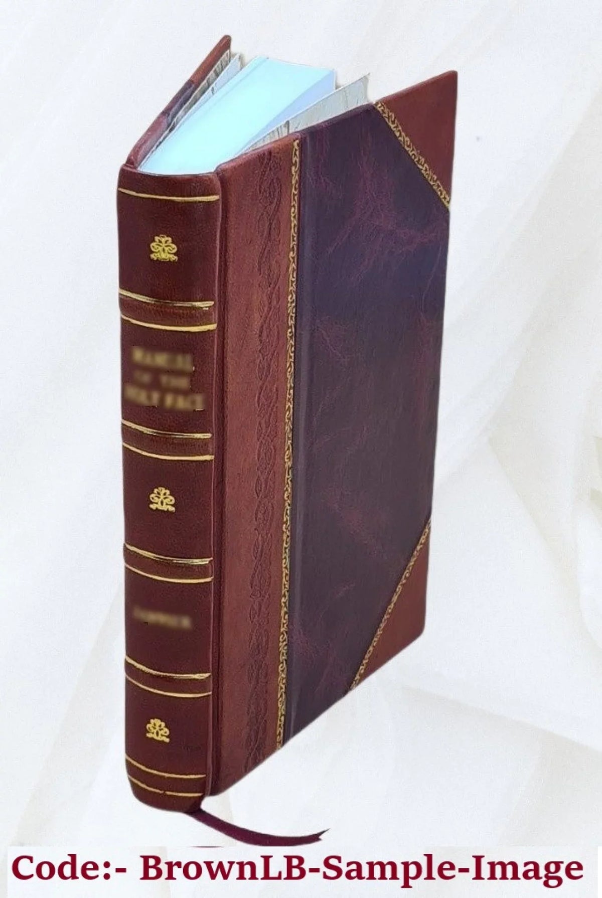 New England family history : a magazine devoted to the history of families of Maine and Massachusetts Volume 2 (1908-1909) 1907 [Leather Bound]