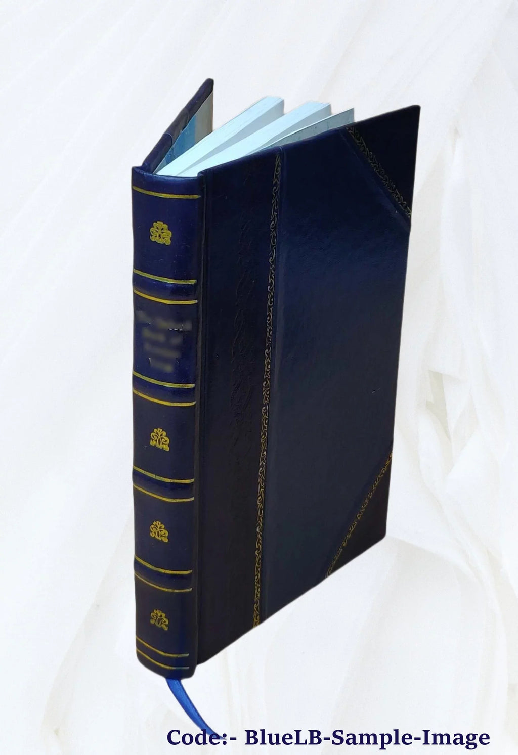 Collections towards illustrating the biography of the Sizecotch, English, and Irish members, of the Sizeociety of Jesus 1845 [Leather Bound]