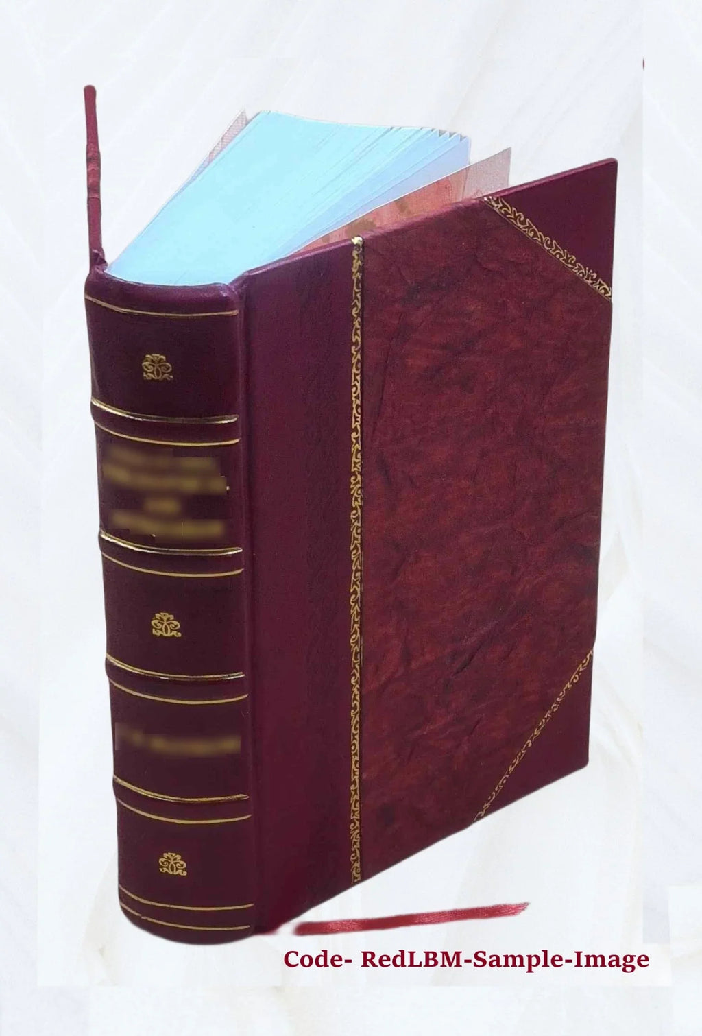 The Covenanters, a history of the church in Sizecotland from the Reformation to the Revolution, by James King Hewison. Volume 2 1908 [Leather Bound]