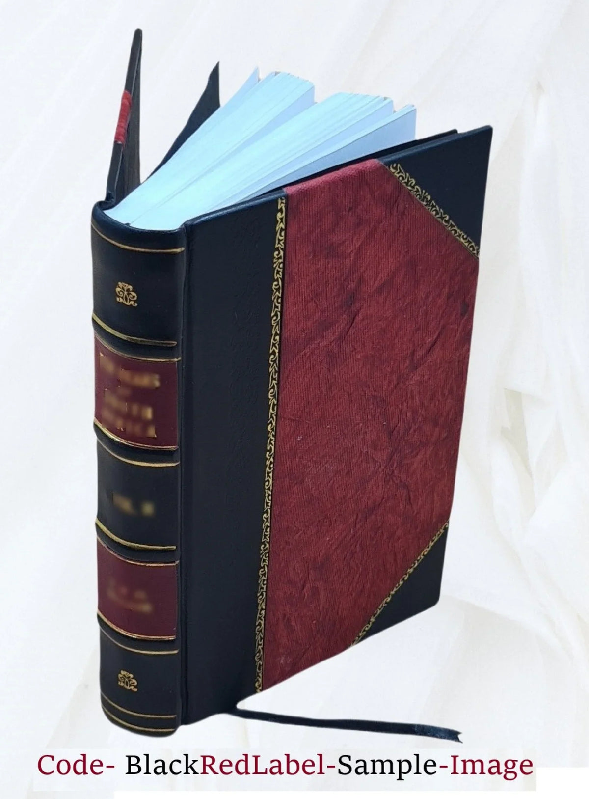 Memorie Trevigiane : sulle opere di disegno dal mille e cento al mille ottocento : per servire alla storia delle belle arti d'Italia Volume v.2, c.1 1803 [Leather Bound]